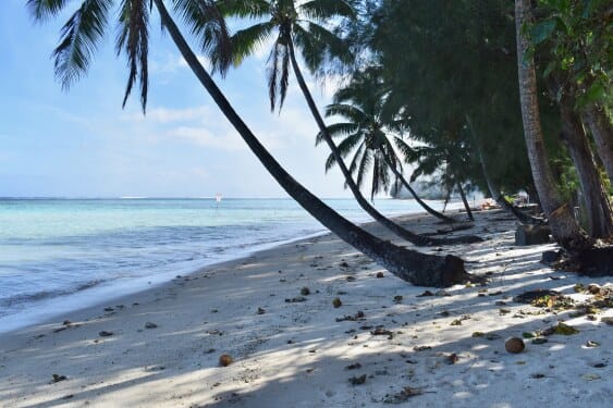 Tumutoa Beach House beach looking right